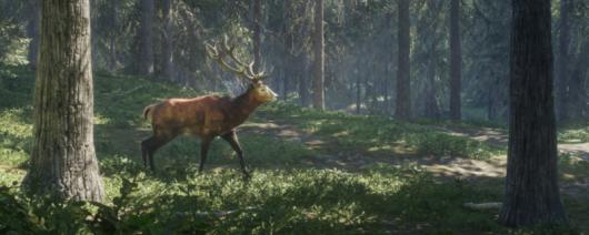 《猎人：荒野的呼唤》乌尔霍加所有动物分布在哪里